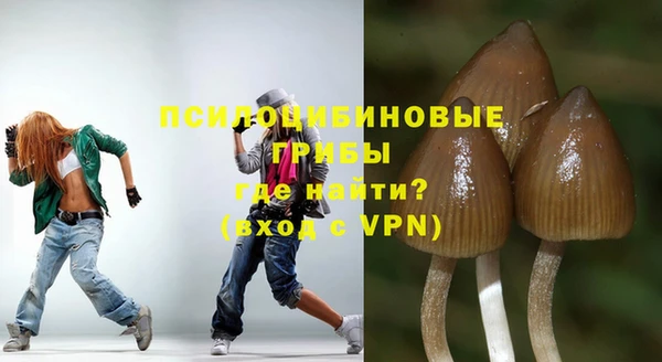 гидра Заводоуковск