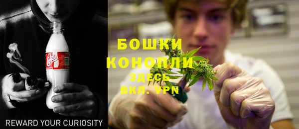 гидра Заводоуковск