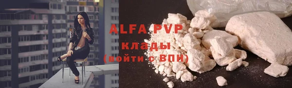 гидра Заводоуковск