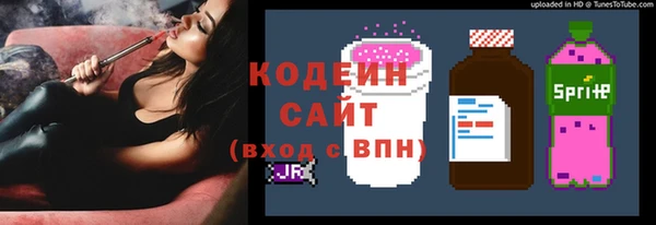гидра Заводоуковск