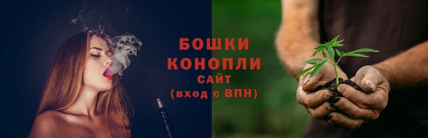ПСИЛОЦИБИНОВЫЕ ГРИБЫ Заволжск