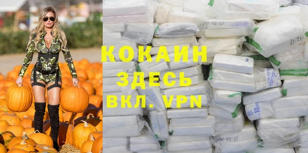 гидра Заводоуковск