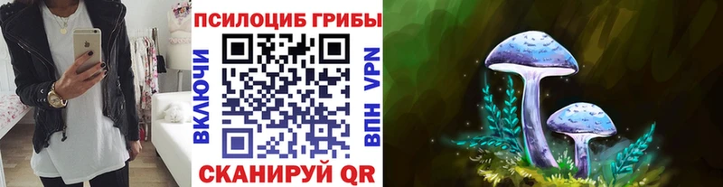 Галлюциногенные грибы прущие грибы  Купить  Зеленоградск 