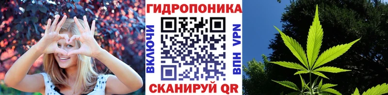 Купить закладки  Зеленоградск  Конопля SATIVA & INDICA 